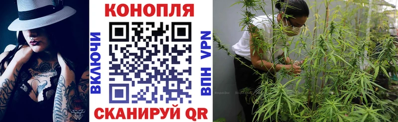 Купить где  Глазов  Конопля Amnesia 